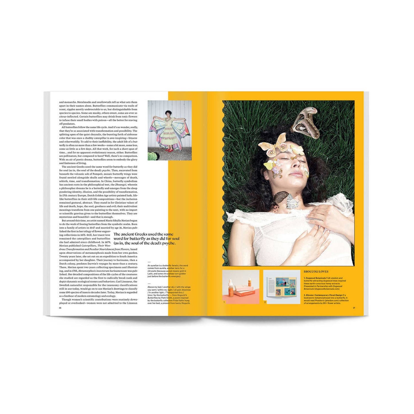 Broccoli Magazine Issue 06