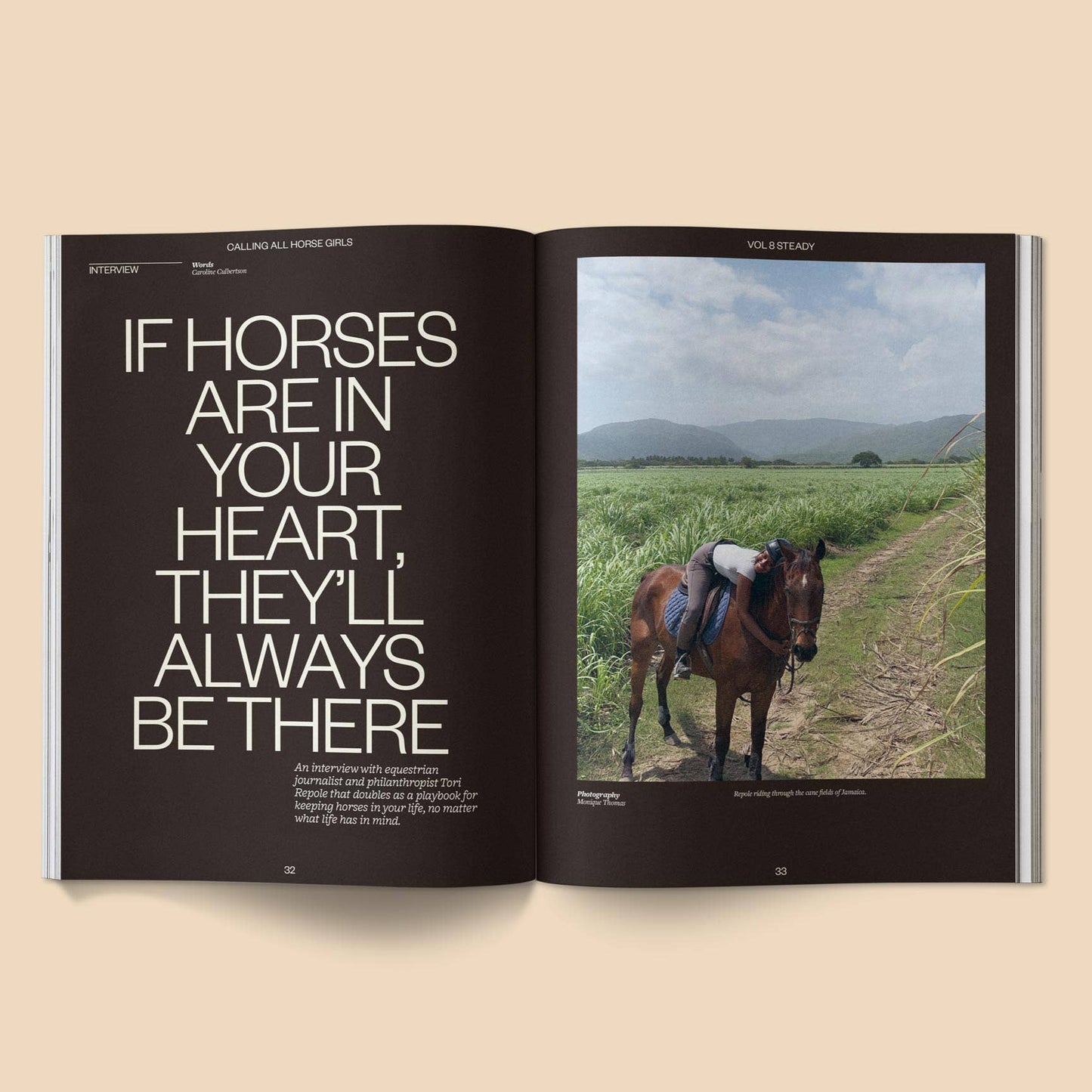 Calling All Horse Girls Magazine, Vol. 8: Steady
