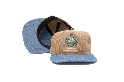 Discover Wonders - Strapback