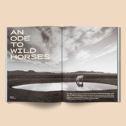 Calling All Horse Girls Magazine, Vol. 3: Culture