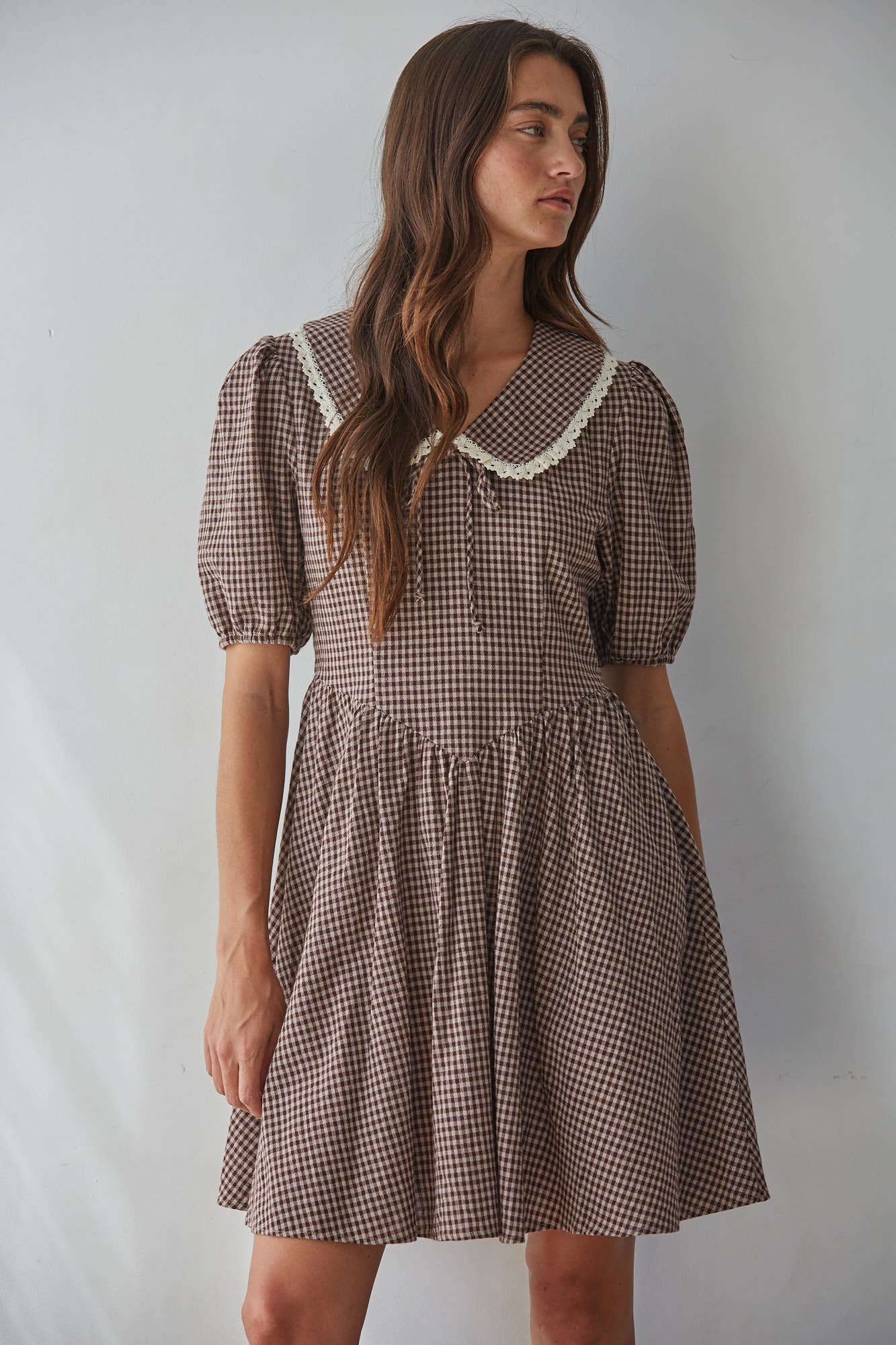 Gingham Collared Flare Dress