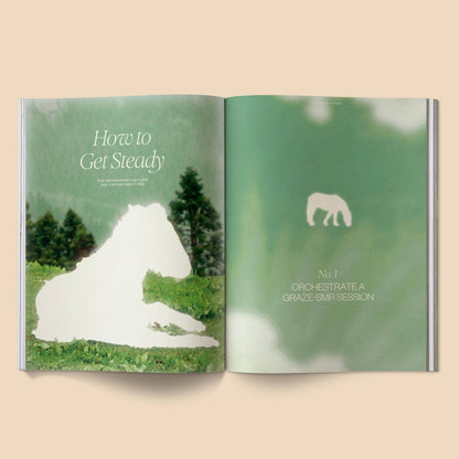 Calling All Horse Girls Magazine, Vol. 8: Steady