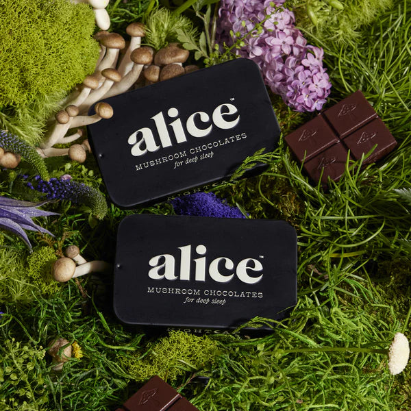 Alice Mushrooms x Nightcap