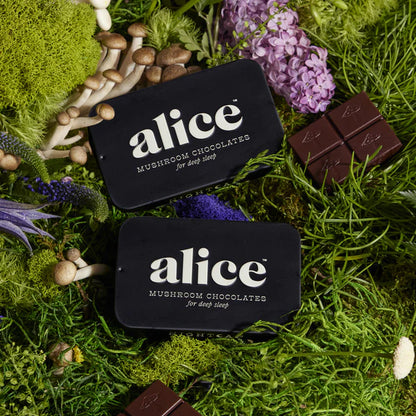 Alice Mushrooms x Nightcap