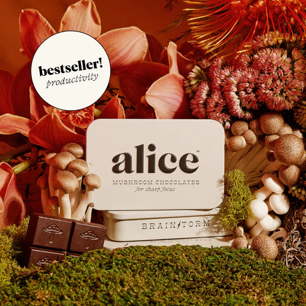 Alice Mushrooms x Brainstorm