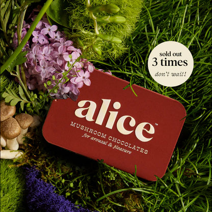 Alice Mushrooms x Happy Ending