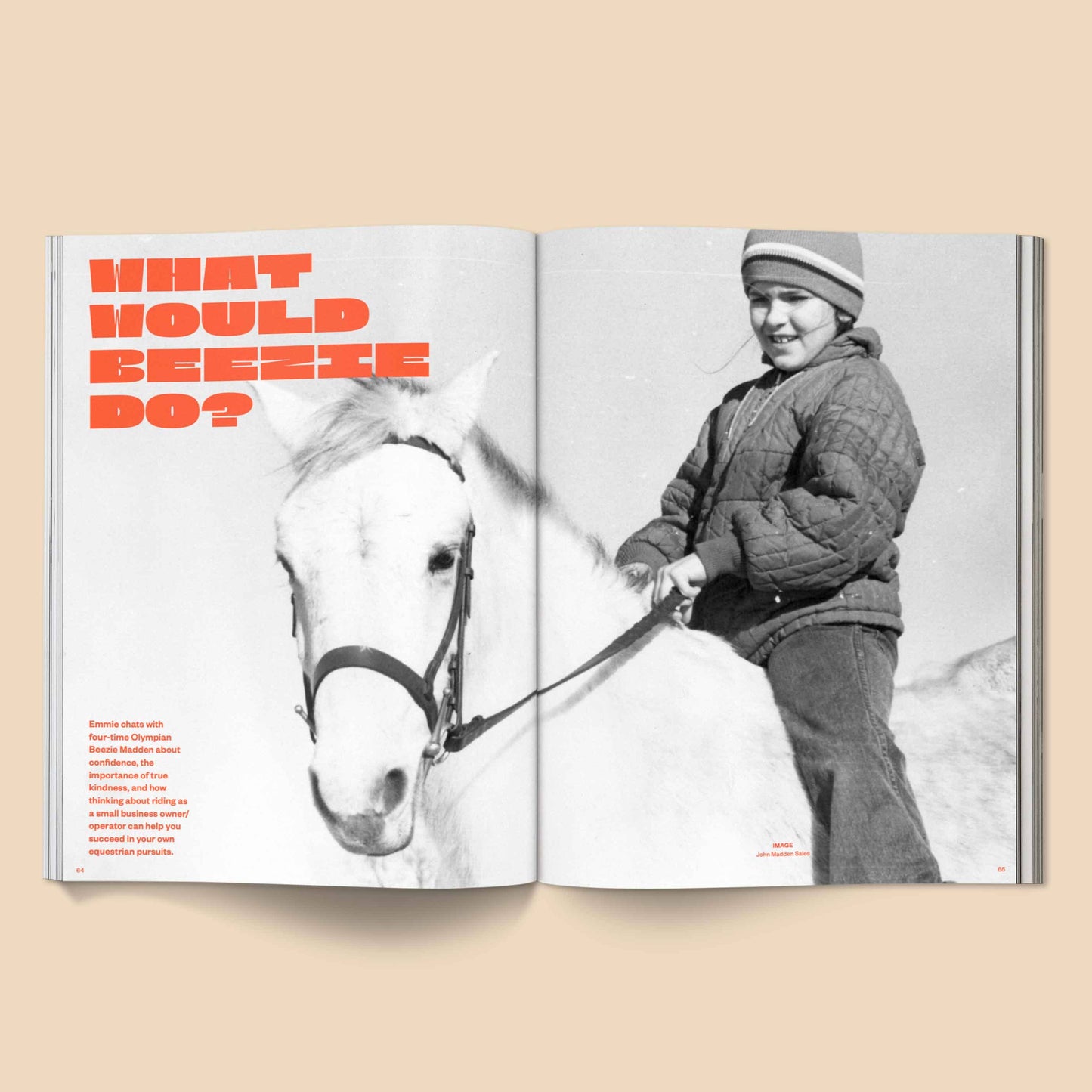 Calling All Horse Girls Magazine, Vol. 3: Culture