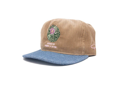 Discover Wonders - Strapback