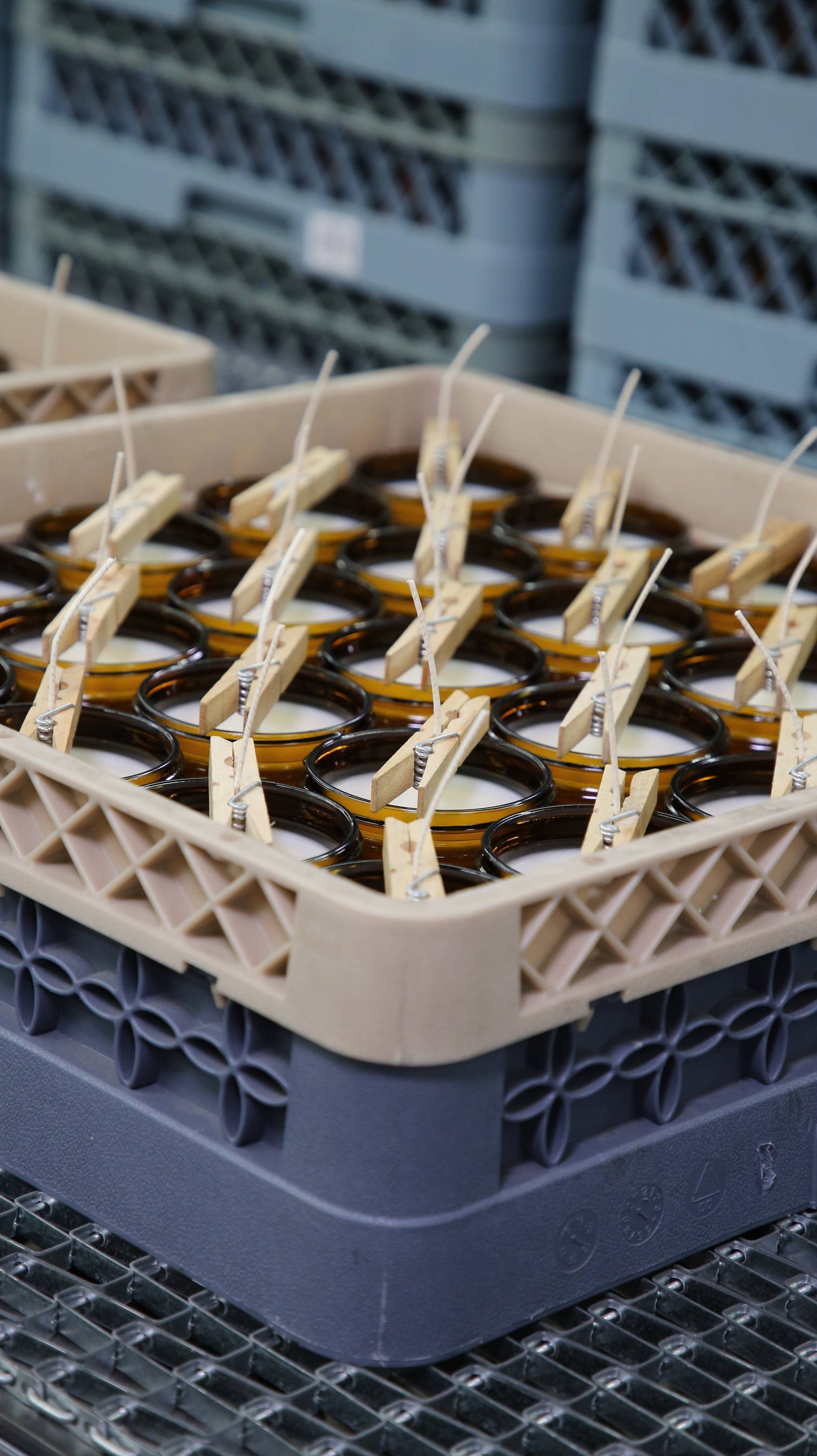 Sandalwood Rose Soy Candle