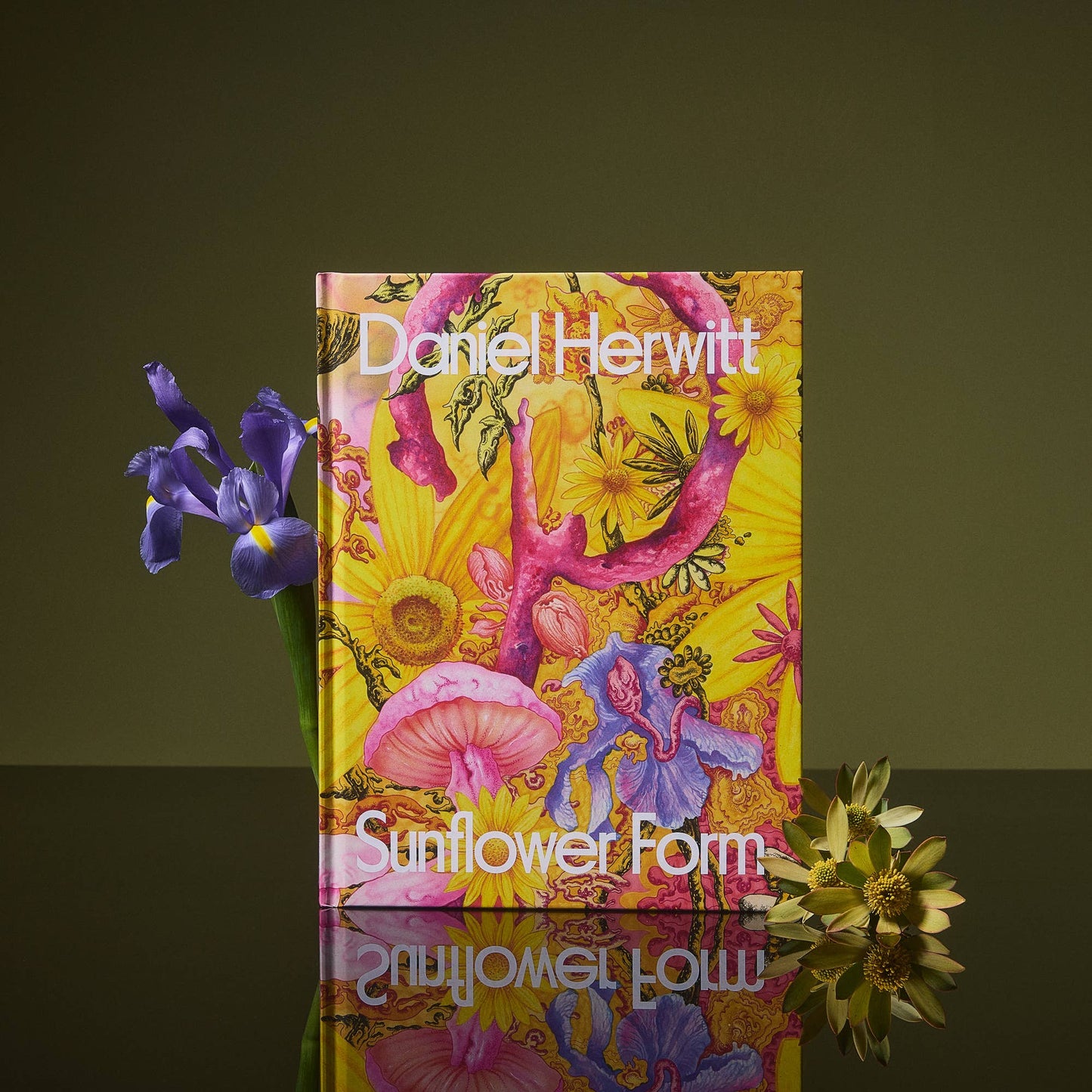 Daniel Herwitt: Sunflower Form Art Book