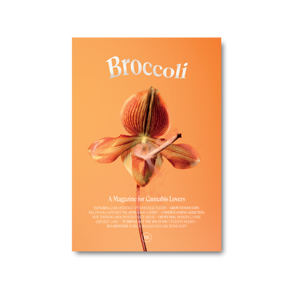 Broccoli Issue 08