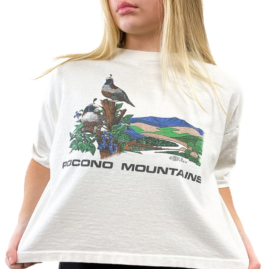 80s Pocono Crop Tee